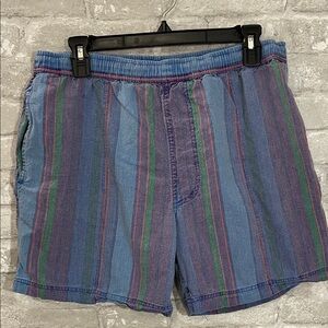 Newport Blue Striped Swim Shorts